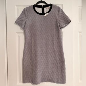 RACHEL Rachel Roy Light Gray Textured Short-Sleeve Dress with Black Trim